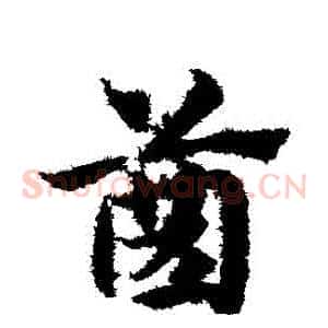 齒