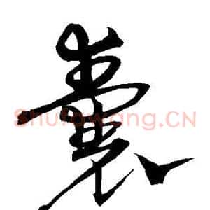 囊