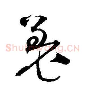 羌