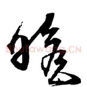 瞻