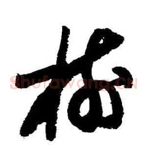 樹