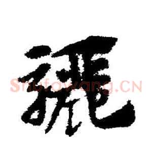 骊