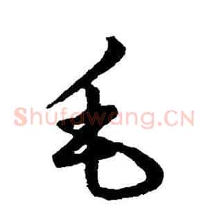毛