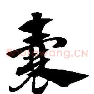 囊