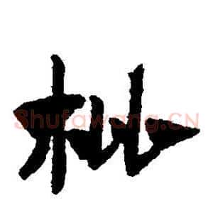 枇
