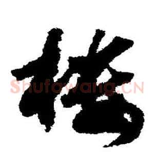 楼