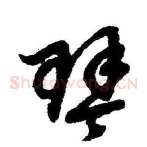 琴