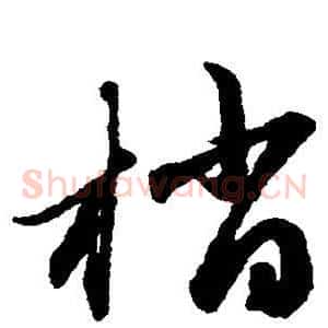 梢