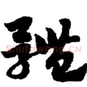 體