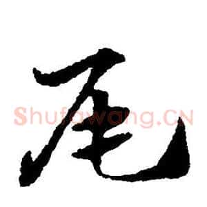 尾