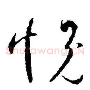 愧