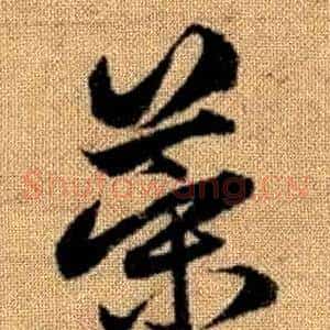 策