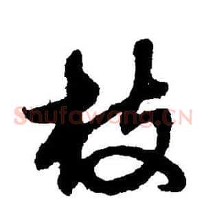 枝