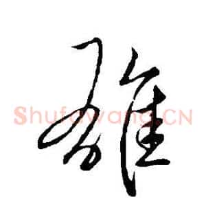 雄