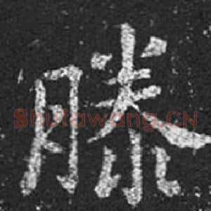 滕