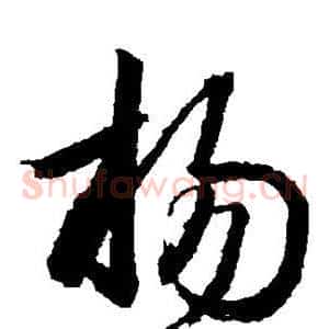 杨