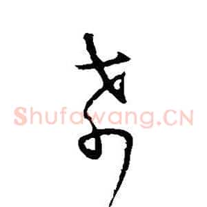 肴