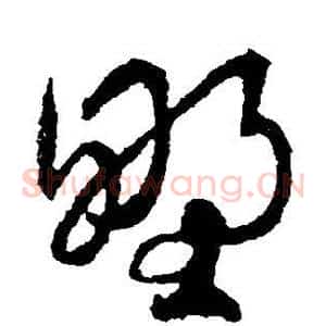 野