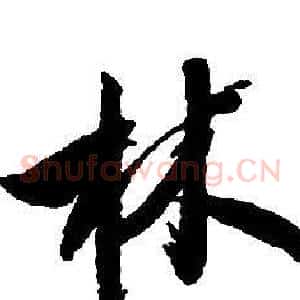 林