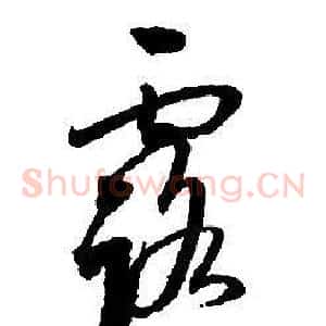 露