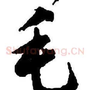 毛