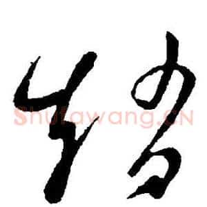 赵