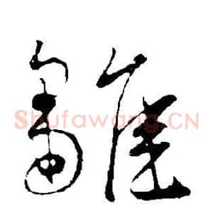 雏