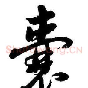 囊