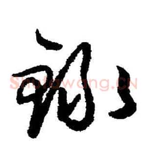 录