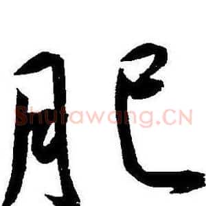 肥