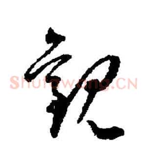 观