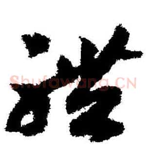 体
