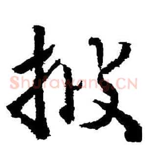 披