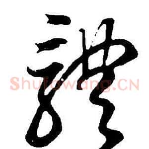 體