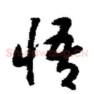 悟