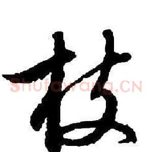 枝