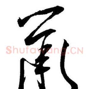 鼠