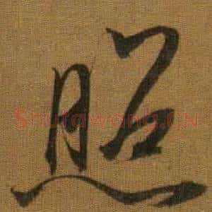照