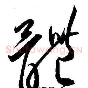 體