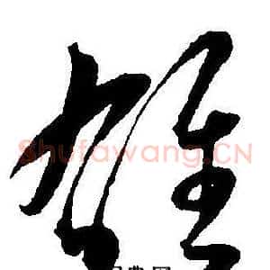 雄