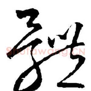 體