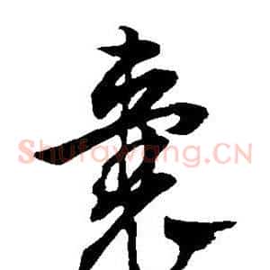 囊