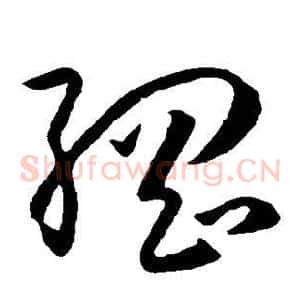 纲
