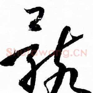 骸