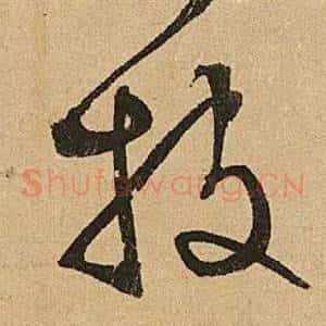 披