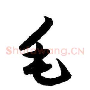 毛