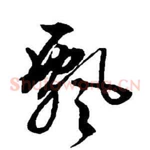 飘