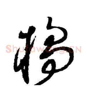 橘