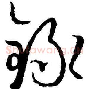 录