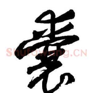 囊